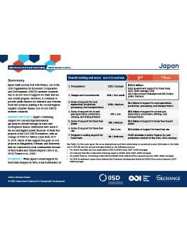 G20 Scorecard: Japan
