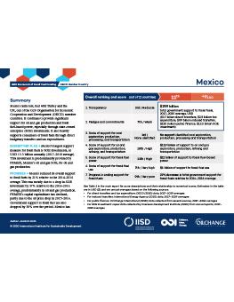 G20 Scorecard: Mexico