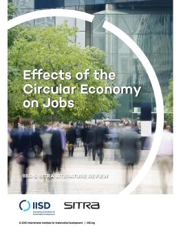 Effects of the Circular Economy on Jobs