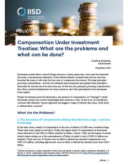Compensation Under Investment Treaties: What are the problems and what can be done? 