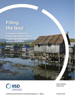 Filling the Gap: MDBs' efforts to scale up financing for climate adaptation