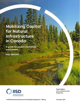 Mobilizing Capital for Natural Infrastructure in Canada cover