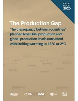 The Production Gap: 2020 Special Report cover