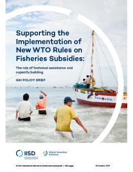 Supporting the Implementation of New WTO Rules on Fisheries Subsidies: The role of technical assistance and capacity building cover