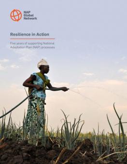 Resilience in Action: Five years of supporting National Adaptation Plan (NAP) processes cover
