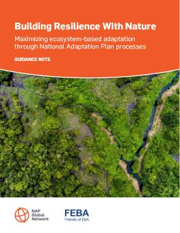 Building Resilience With Nature: Maximizing Ecosystem-based Adaptation through National Adaptation Plan Processes cover