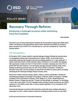 Recovery Through Reform: Advancing a hydrogen economy while minimizing fossil fuel subsidies cover