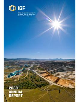 2020 IGF Annual Report cover