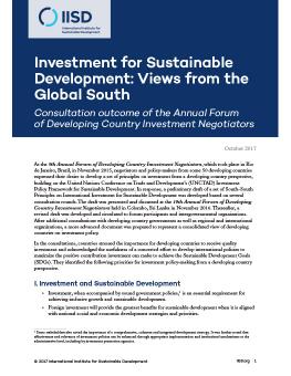 Investment for Sustainable Development: Views from the Global South