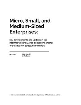 Joint Statement on Micro, Small, and Medium-Sized Enterprises: History and latest developments in the Informal Working Group cover