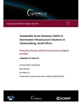 A Sustainable Asset Valuation of Stormwater Infrastructure Solutions in Johannesburg, South Africa cover
