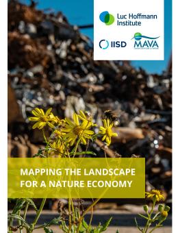 Mapping the Landscape for a Nature Economy