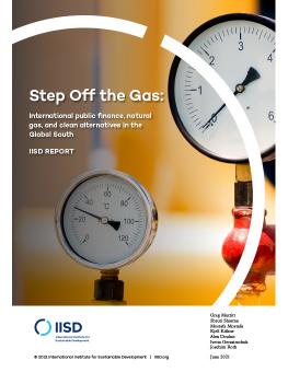 Step Off the Gas: International public finance, natural gas and clean alternatives in the Global South cover