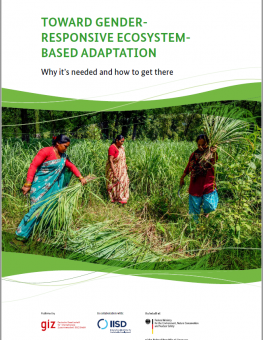 Toward Gender-Responsive Ecosystem-based Adaptation Publication Cover