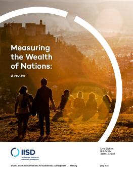 Measuring the Wealth of Nations: A review cover