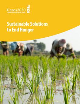 Sustainable Solutions to End Hunger cover