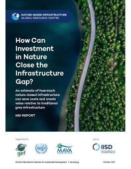 How Can Investment in Nature Close the Infrastructure Gap? cover showing aerial shot of road between green forest and blue water in Finland