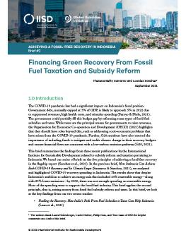 Financing Green Recovery From Fossil Fuel Taxation and Subsidy Reform cover