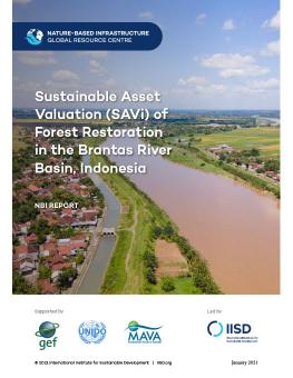 Sustainable Asset Valuation (SAVi) of Forest Restoration in the Brantas River Basin, Indonesia cover showing aerial of Brantas River basin