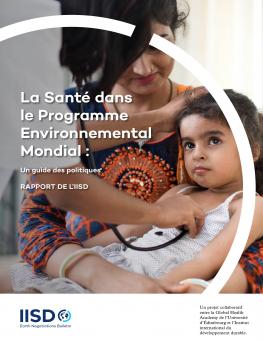 La Santé dans le Programme Environnemental Mondial