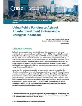 Using Public Funding to Attract Private Investment in Renewable Energy in Indonesia cover