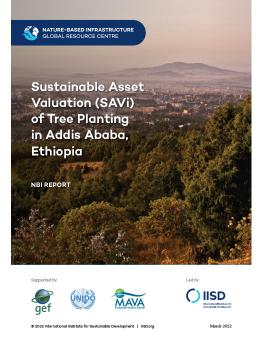 Sustainable Asset Valuation (SAVi) of Tree Planting in Addis Ababa, Ethiopia report cover showing panoramic view of Addis Ababa