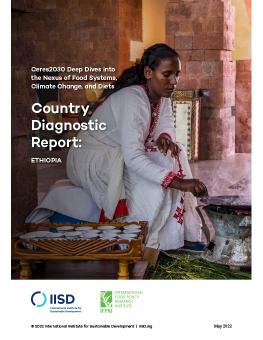 Country Diagnostic Report: Ethiopia report cover showing woman cooking in home