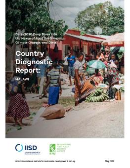 Country Diagnostic Report: Malawi cover showing street market