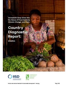 Country Diagnostic Report: Nigeria cover photo showing woman chopping various vegetables
