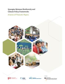 Synergies Between Biodiversity and Climate Policy Frameworks – A Series of Thematic Papers report cover