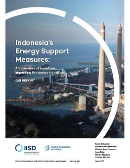 Indonesia's Energy Support Measures cover showing aerial of coal plant by the ocean