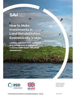 How to Make Investments in Land Rehabilitation Economically Viable: Lessons learned from peatland and mangroves in Indonesia, a sustainable asset valuation assessment cover showing mangroves in water