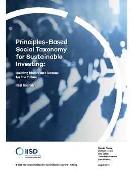 Principles-Based Social Taxonomy for Sustainable Investing report cover showing silhouette of people walking down the street