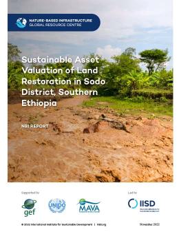 Sustainable Asset Valuation of Land Restoration in Sodo District, Southern Ethiopia cover showing flooded roadway.