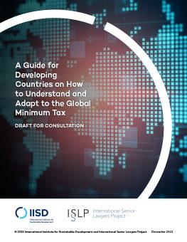 A Guide for Developing Countries on How to Understand and Adapt to the Global Minimum Tax report cover