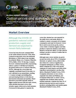Global Market Report: Cotton prices and sustainability report cover
