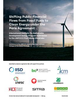Shifting Public Financial Flows From Fossil Fuels to Clean Energy Under the Paris Agreement report cover