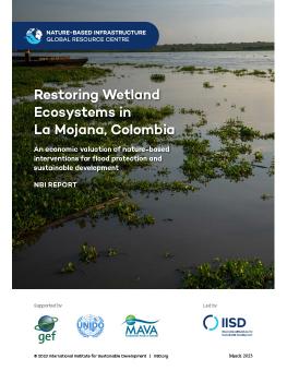Restoring Wetland Ecosystems in La Mojana, Colombia report cover showing flooded wetlands in La Mojana