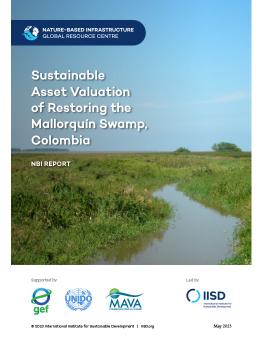 Sustainable Asset Valuation of Restoring the Mallorquín Swamp, Colombia report cover showing river flowing into swamp land, Colombia