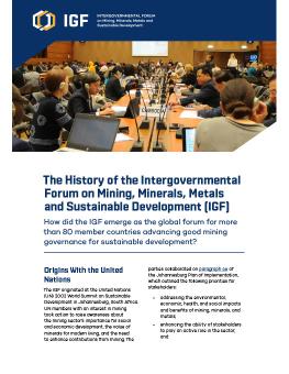 The History of the IGF brief cover showing delegates at a meeting.