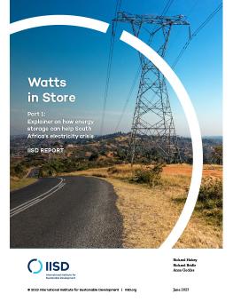 Watts in Store report cover showing power lines near a road.