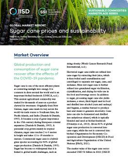 Global Market Report: Sugar cane prices and sustainability report cover showing a sugar cane field.