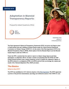 Adaptation in Biennial Transparency Reports cover showing page 1 of the brief.
