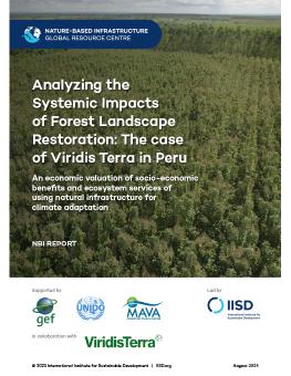 Analyzing the Systemic Impacts of Forest Landscape Restoration: The case of Viridis Terra in Peru report cover showing lush mountains in Peru.