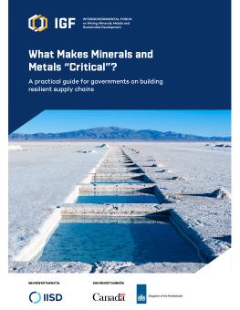 What Makes Minerals and Metals "Critical"? report cover showing the Salinas Grandes salt desert in Argentina.