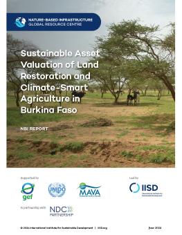 Sustainable Asset Valuation of Land Restoration and Climate-Smart Agriculture in Burkina Faso report cover showing animals in a village in northern Burkina Faso.