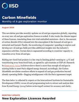 Carbon minefields newsletter header in blue and opening paragraph