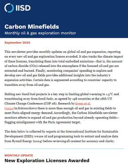 Carbon minefields newsletter header in blue and opening paragraph