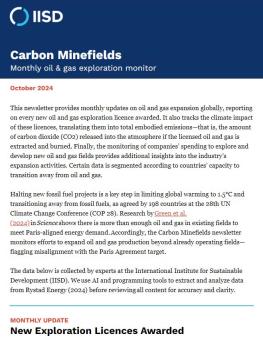 Carbon minefields newsletter header in blue and opening paragraph
