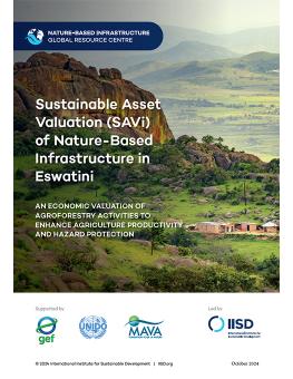 Sustainable Asset Valuation (SAVi) of Nature-Based Infrastructure in Eswatini report cover showing a mountainous landscape with trees and settlements.
